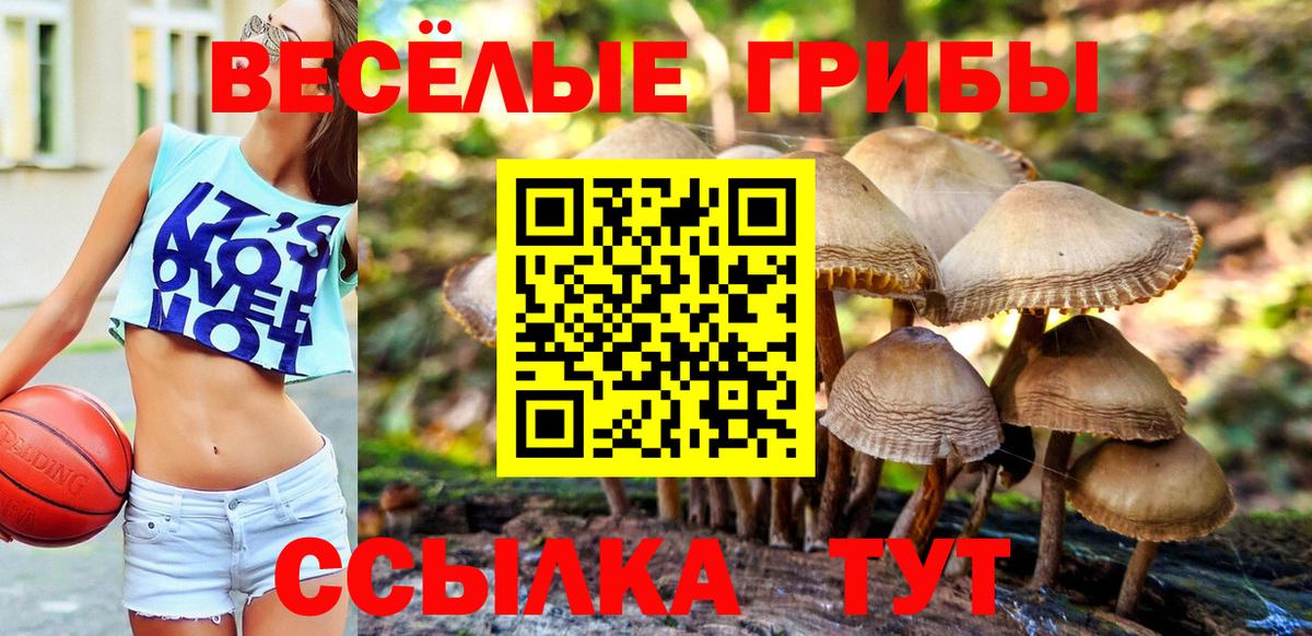 Галлюциногенные грибы мухоморы  Псилоцибиновые грибы GOLDEN TEACHER  Вход с VPN  Архангельск 